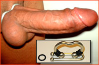 Huge Cock Cock Ring - Horseshoe Cock Ring | Best Cockring, Penis Ring, Erection ...